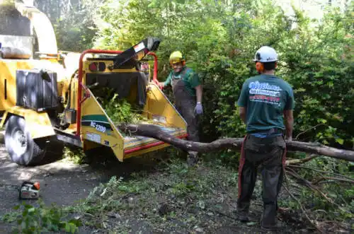 tree services Ehrenberg